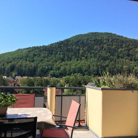 Le Panorama Apartamento Kaysersberg-Vignoble Exterior foto
